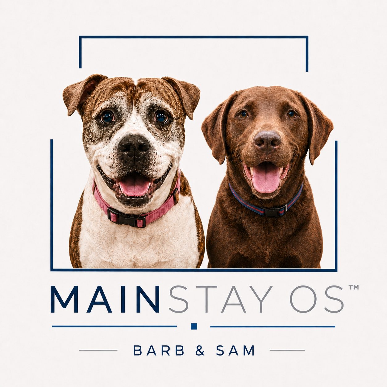 Mainstay OS — BARB & SAM